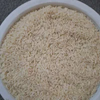برنج طارم هاشمی محلی