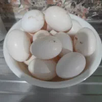 فروش تخم مرغ محلی