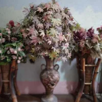 چند عدد گلدان