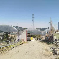 فروش گلخانه واقع در جاده اورمیه اشنویه (املاک تقوی|فروش دفتر صنعتی، کشاورزی، تجاری|ارومیه, |دیوار