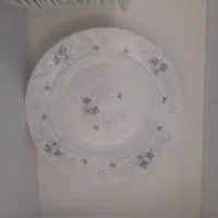 ۳ دست پلو خوری و خوروش خوری و ۴ تا دیس