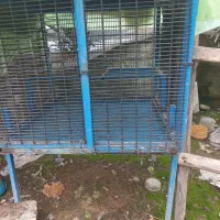 قفس پرندگان محکم وبادوام|لوازم جانبی حیوانات|مرزیکلا, |دیوار