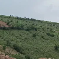 ۱۴۰ متر زمین فروشی