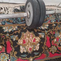 هالتر و دو عدد دمبل فروشی|تجهیزات ورزشی|جیرفت, |دیوار