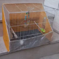 قفس پرنده