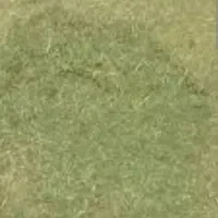 سوزه داندار