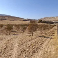 فروش زمین ملکشاهی (روستا قلعه جوق)|فروش زمین و ملک کلنگی|ملکشاهی, |دیوار