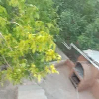 اجاره کوتاه مدت