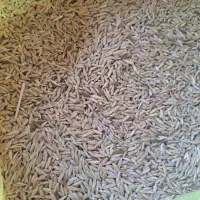 ۸۰۰کیلوجو تمیز کیسه شده