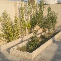 باغچه استخردار شیک و مرتب