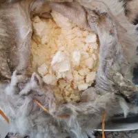 پنیر گوسفندی ودوغ گوسفندی