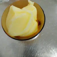 روغن دان گاوی