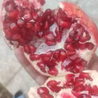 انار اصل عقدا دانه سیاه|خوردنی و آشامیدنی|عقدا, |دیوار