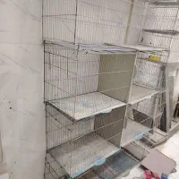 قفس پرنده ، پرون