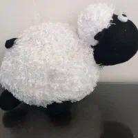 عروسک گوسفند|اسباببازی بچه|اردکان, |دیوار