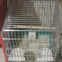 قفس پرنده