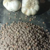 لوبیا چیتی درجه یک زنجان|عمدهفروشی|سوسنگرد, |دیوار