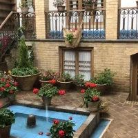 پیدا شده حیوان خانگی