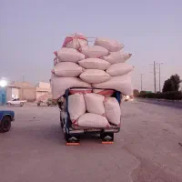 کاه خرمن درجه یک