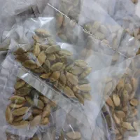 مای بی بی|مواد شوینده و دستمال کاغذی|کرج, عظیمیه|دیوار