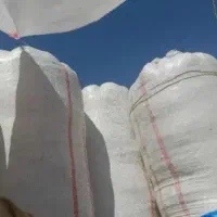 کاه گیر