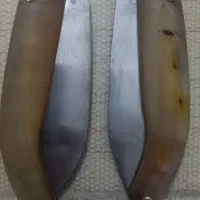 چاقو چوپانی