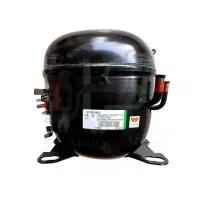 امبراکو ۲اسب