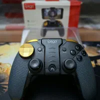 دسته بازی ایپگا