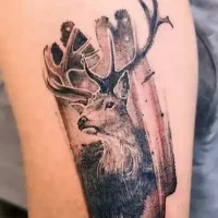 تتو tattoo|خدمات آرایشگری و زیبایی|اراک, |دیوار