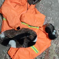 بادگیر|لباس|بجنورد, |دیوار