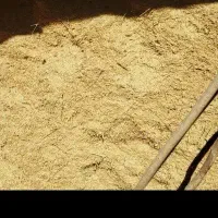 فروش کاه جو و کاه گندم و یونجه