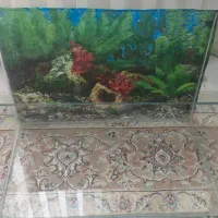 آکواریوم شیشه خم