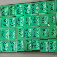 رنگ موی حاوی کراتین بونسای