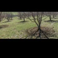 شخم زنی خاک ورزی کوددهی باغ گلخانه|خدمات باغبانی و درختکاری|مرند, |دیوار