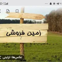 فروش زمین تجاری خیابان عدالت