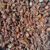 کشمش طبیعی|خوردنی و آشامیدنی|کامیاران, |دیوار