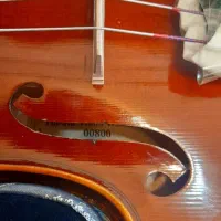 ویلن TF  مدل 800|ویولن|قزوین, |دیوار