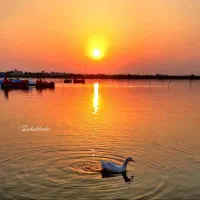 گوشیF54|موبایل|مسجد سلیمان, |دیوار