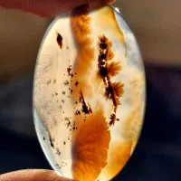 نگین شجر عقیق انگشتر