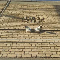 فروش و نصب انواع دوربین مداربسته و دزدگیر اماکن|خدمات پیشه و مهارت|دوگنبدان, |دیوار