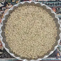 عدس محلی
