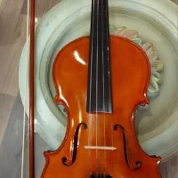 ویولون دست ساز استاد سیاوش اکبری|ویولن|کرج, گوهردشت|دیوار