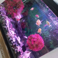 اکواریوم شیشه خم|ماهی|محمدشهر, محمدشهر|دیوار