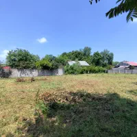 زمین ارزنده و زیر قیمت کاسبی در روستای زیبای چولاب