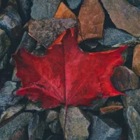 سرمایه دارم یه میلیارد