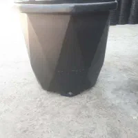 پخش انواع گلدان پلاستیکی کشاورزی و زینتی|گل و گیاه طبیعی|رشت, پل تالشان|دیوار