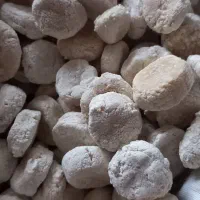 کشک گاوی خشک
