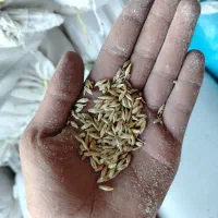 ذرت جو سویا خوراک تفاله چغندر سبوس یونجه|عمدهفروشی|جرقویه, |دیوار