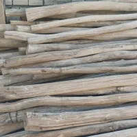 تعداد زیادی چوب|مصالح و تجهیزات ساختمان|بم, |دیوار