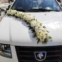 دیزاین ماشین عروس و دسته گل عروس|گل و گیاه طبیعی|اهواز, پادادشهر|دیوار
